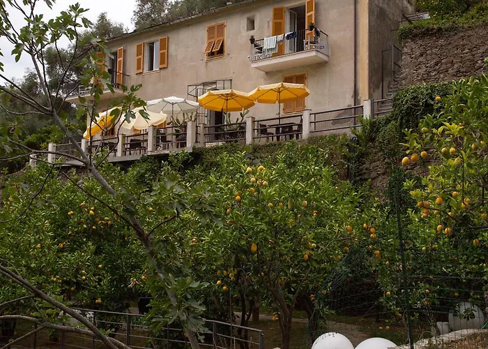 La Casa Dei Limoni