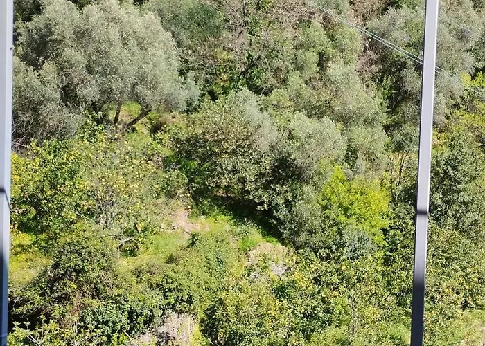 La Casa Dei Limoni