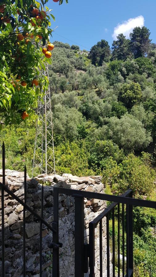 La Casa Dei Limoni Casa de hóspedes *