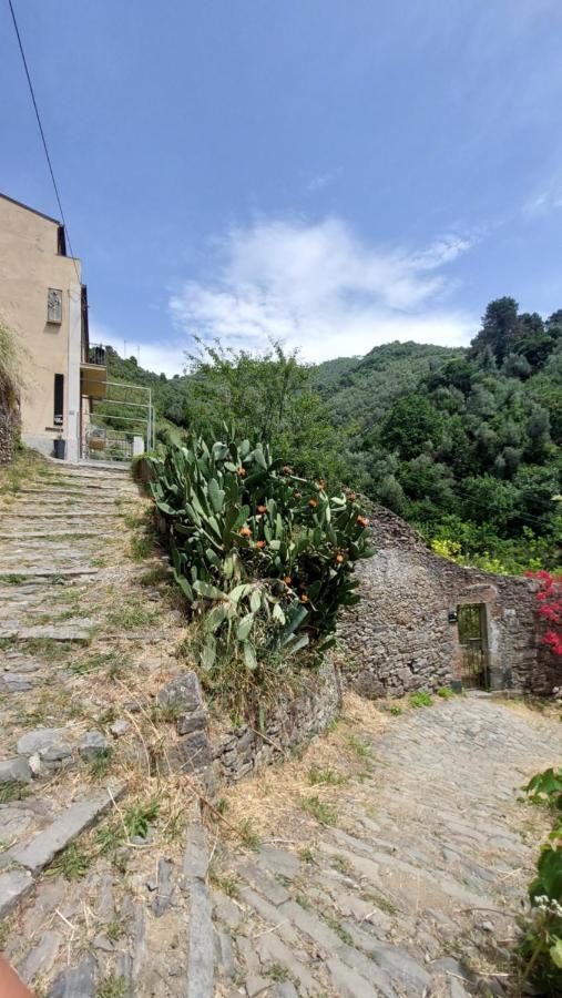 Casa de hóspedes La Casa Dei Limoni Monterosso al Mare