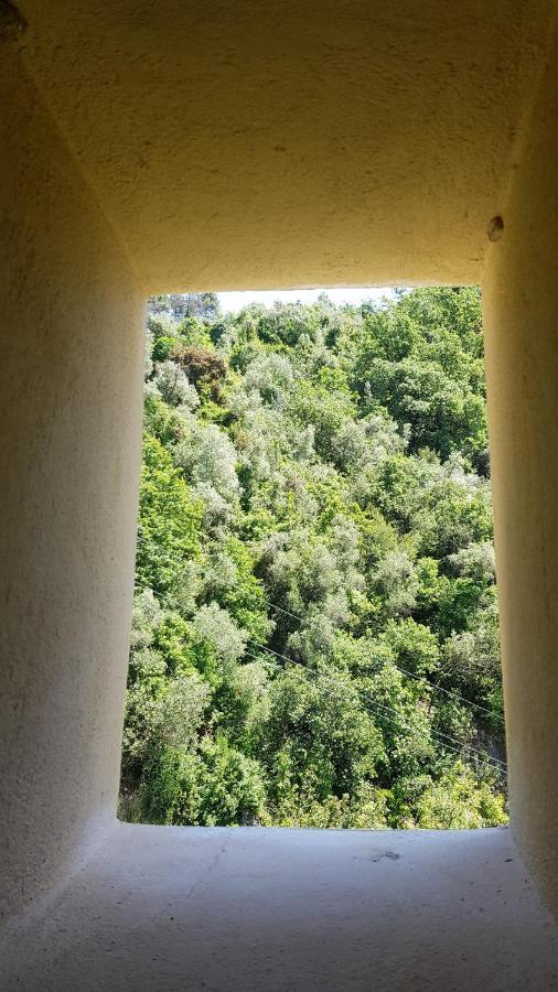 La Casa Dei Limoni *