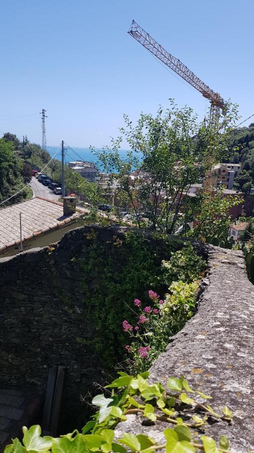 La Casa Dei Limoni Guest house